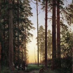 Opushka lesa